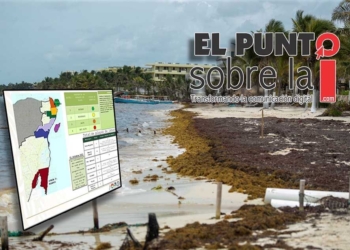 Puerto Morelos, el municipio quintanarroense con mayor presencia de sargazo