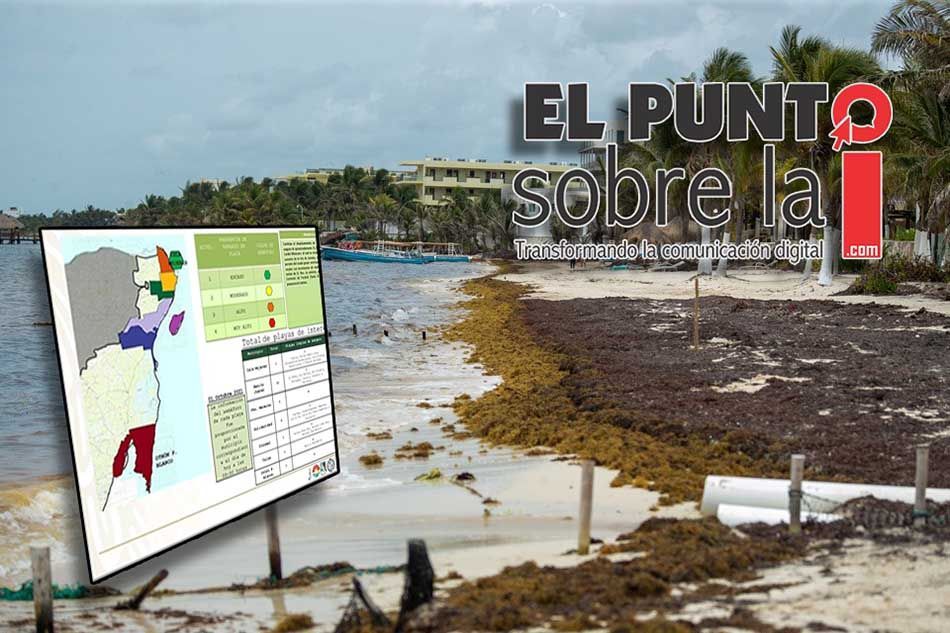 Puerto Morelos, el municipio quintanarroense con mayor presencia de sargazo