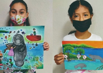 Niña chetumaleña, ganadora del concurso estatal de dibujo “¡El rescate de un manatí!”