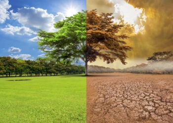 Reflexiones sobre el día internacional del cambio climático