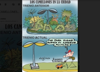 COLINAS: Los camellones en la ciudad