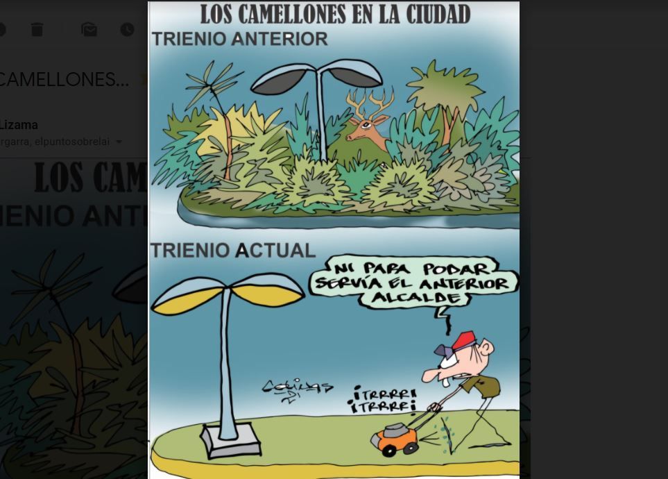 COLINAS: Los camellones en la ciudad