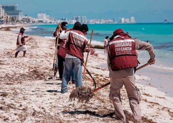 Secretaría de Marina advierte nivel de alerta bajo de sargazo en Playas de Quintana Roo