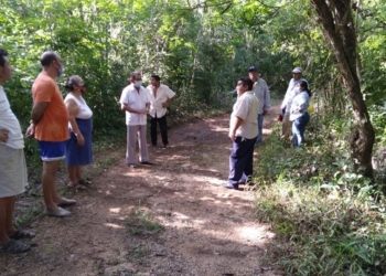 Advierten devastación de tierras en Lázaro Cárdenas
