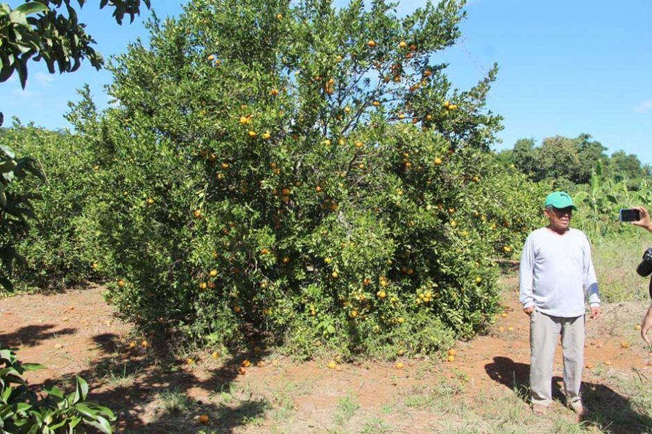 Falta de compradores impide a agricultores de zona maya de Quintana Roo vender su producción