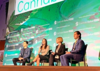 Desde el Caribe Mexicano impulsarán en foro internacional las inversiones en la industria del cannabis