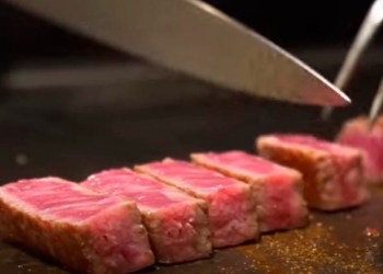 Gobierno japonés ofrecerá degustación de famosa y cotizada carne Wagyu el 8 de diciembre en Cancún