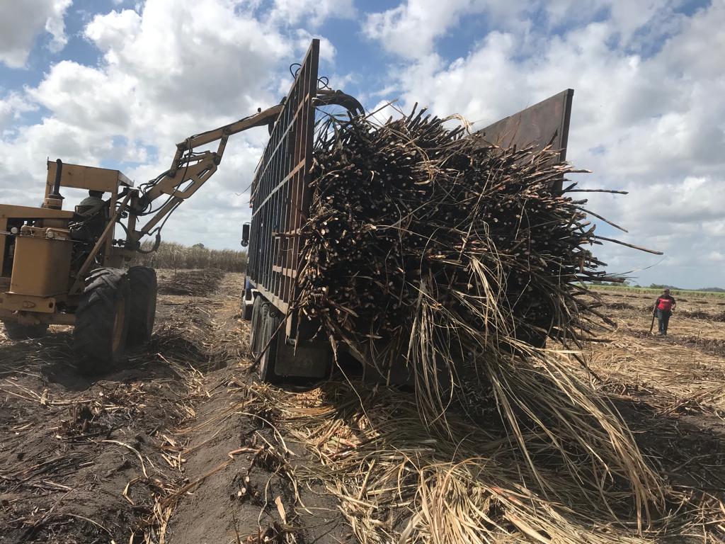 Humo blanco en la zona cañera: Zafra inicia el próximo 26 de noviembre