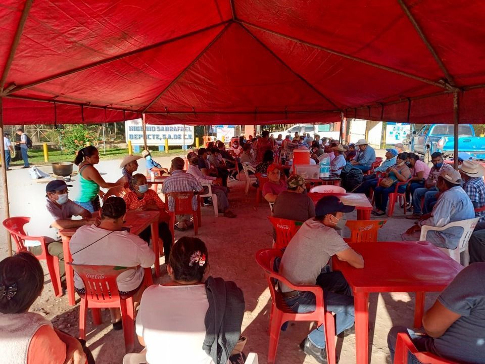 Ingenios de otros estados se suman a suspensión de molienda de caña en Quintana Roo
