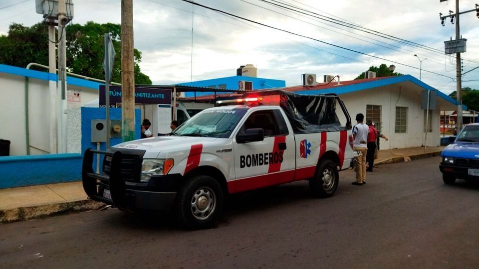 Niña de 11 años evita ataque de pitbull a su prima en José María Morelos; el can la ataca y lesiona