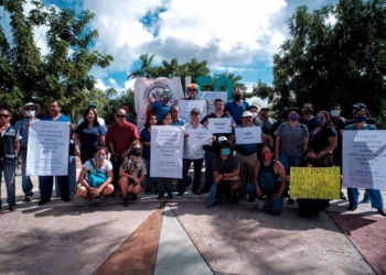 Rechazan en Cancún la iniciativa de ley de bienestar animal al carecer de sustento científico