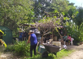 Secretaría de Ecología impulsa reducción de huella ecológica urbana en Quintana Roo