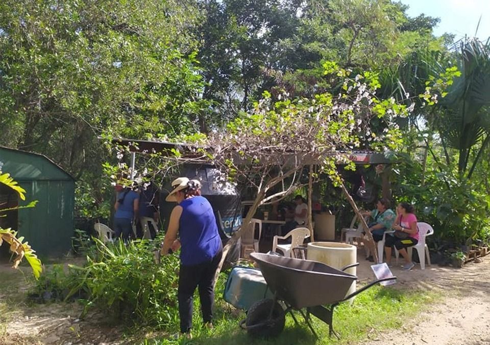 Secretaría de Ecología impulsa reducción de huella ecológica urbana en Quintana Roo