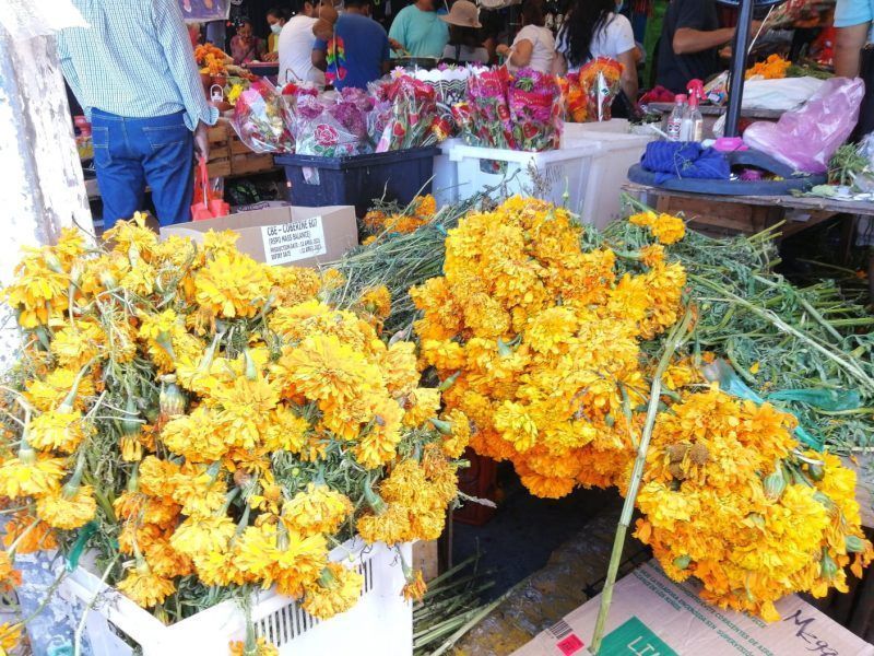 Abrumador éxito en Quintana Roo