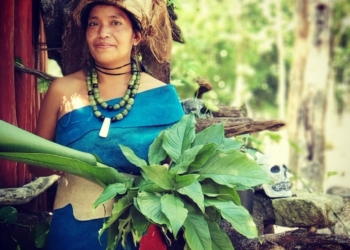 Presenta Sedetur a los ganadores del Premio a la Innovación y Diversificación Turística en el Caribe Mexicano 2021
