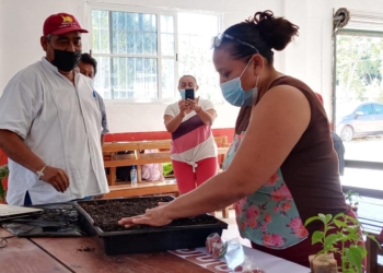 Promueve ayuntamiento de la transformación la producción de hortalizas caseras