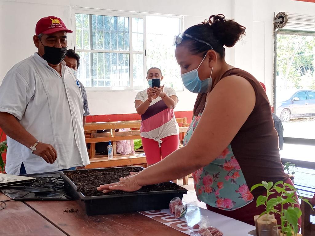Promueve ayuntamiento de la transformación la producción de hortalizas caseras