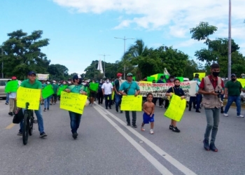 El kilo de la tortilla llegaría a 30 pesos en Cancún