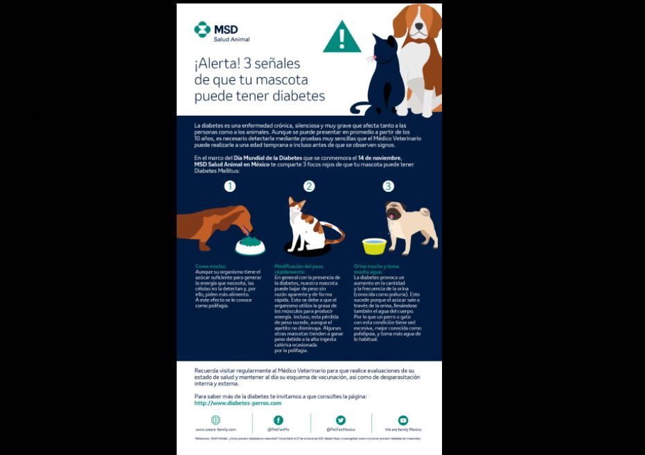 ¿Sabías que tu mascota puede estar en riesgo de desarrollar diabetes?