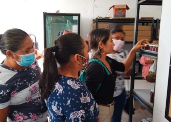 Promueven en mujeres de comunidades mayas organizarse para realizar negocios