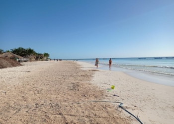 Playas de Tulum lucen su mejor rostro en tres años