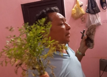 Sacerdote maya pide evitar culto a la muerte
