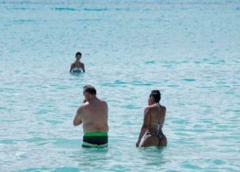 Sargazo tiene presencia mínima en playas de Quintana Roo