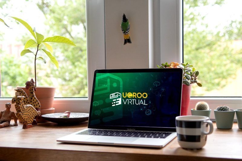 Publicó UQRoo Virtual lista de 347 aspirantes admitidos en las tres licenciaturas en línea