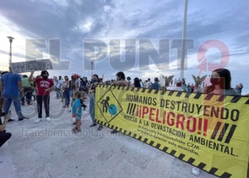Ambientalistas advierten el daño que causará un cuarto muelle de cruceros en Cozumel