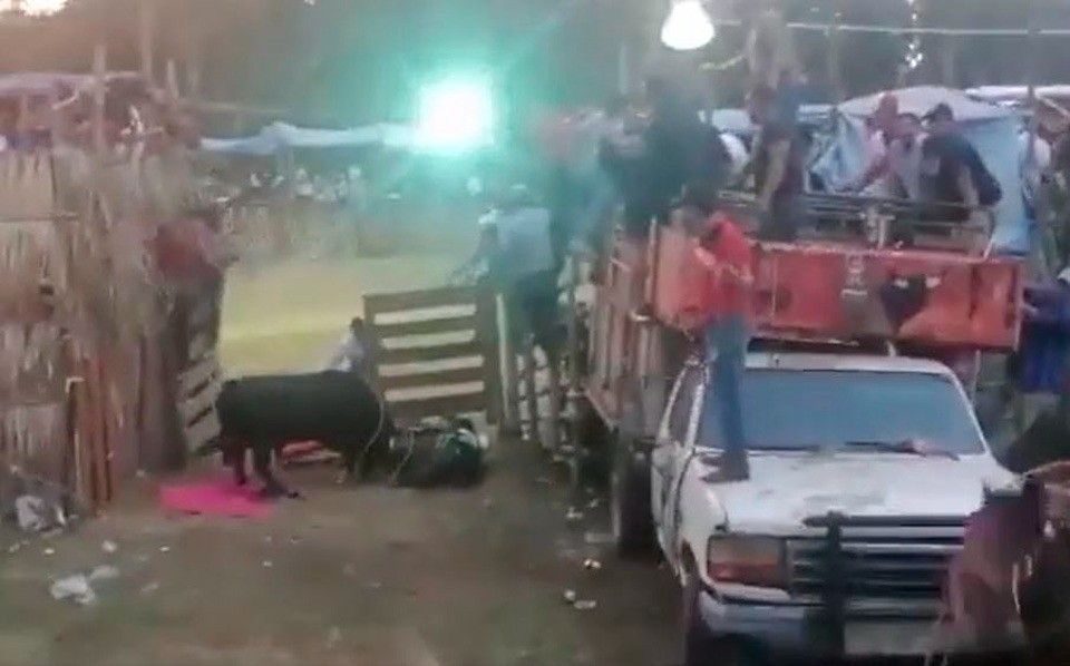 Denuncian maltrato animal durante fiestas religiosas en la zona maya de Quintana Roo