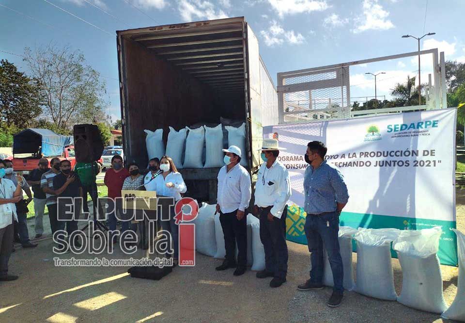 Entregan semillas de frijol a campesinos para producción del ciclo otoño-invierno 2021