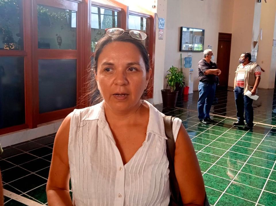 Activista interpone solicitud de juicio político contra Magistrada; alega desempeño irregular