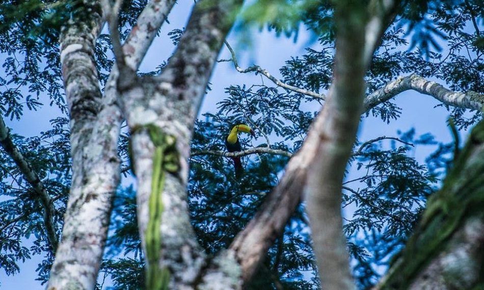 National Geographic coloca a Belice, entre los 25 destinos más increíbles de 2022