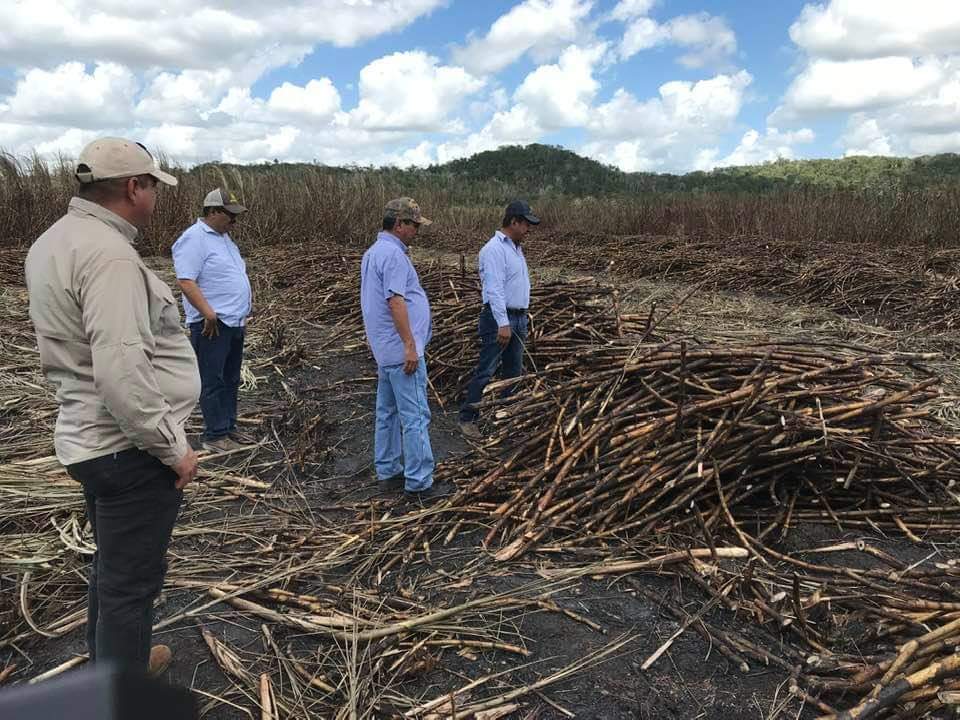 Acuerdan Cañeros e ingenio calendario de pago para cañeros