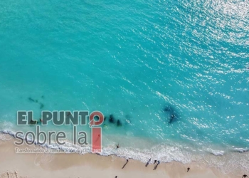 Reconocimientos internacionales afianzan al Caribe Mexicano como uno de los destinos más importantes del mundo