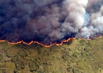 ¡Sian Ka’an, el gran negocio ambientalista!