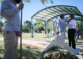 Con reforestación se recuperan espacios públicos de Cancún