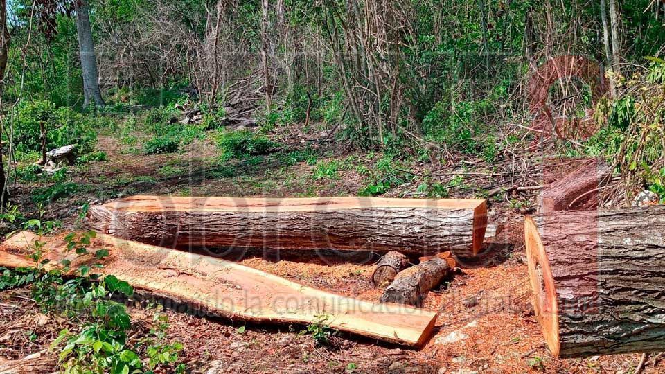 Semarnat impulsa corredor forestal para conservación de riqueza natural de ejidos de Campeche