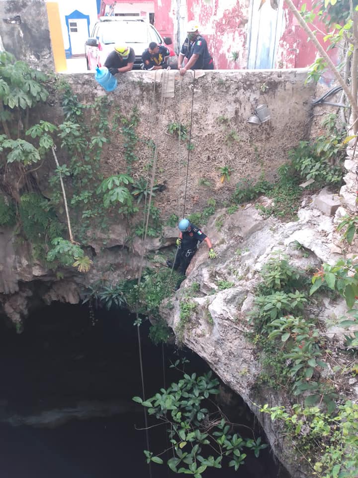 Salvan de morir ahogado a «lomito»
