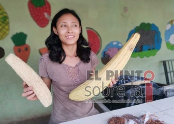 Ama de casa de la Zona Maya enfrenta estragos económicos de la pandemia vendiendo estropajos que hace con sus propias manos