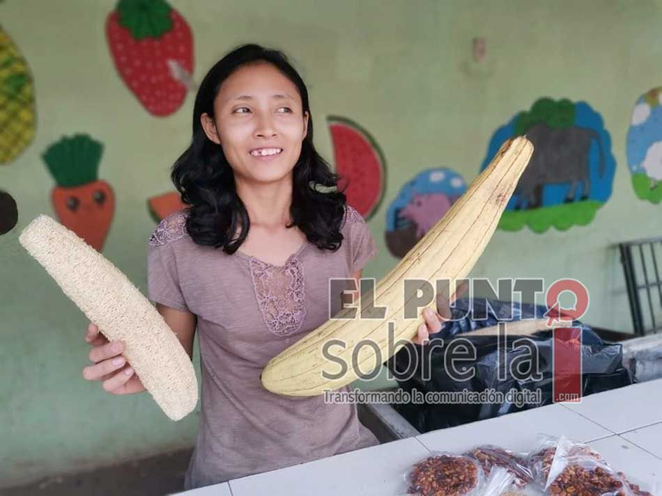 Ama de casa de la Zona Maya enfrenta estragos económicos de la pandemia vendiendo estropajos que hace con sus propias manos