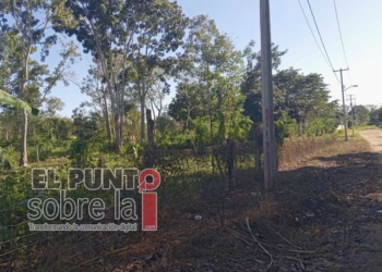 Sucursal del Banco del Bienestar en Lázaro Cárdenas estará en zona despoblada de Kantunilkín