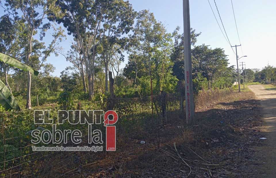 Sucursal del Banco del Bienestar en Lázaro Cárdenas estará en zona despoblada de Kantunilkín