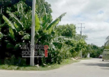 Líder ejidal acusa a la Sedatu de invadir terrenos en el sur de Quintana Roo