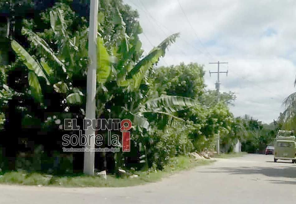 Líder ejidal acusa a la Sedatu de invadir terrenos en el sur de Quintana Roo