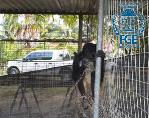 Problemas en los servicios médicos y de salud de Quintana Roo