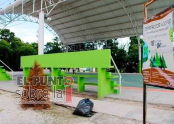 Habilitan en Puerto Morelos tres puntos de acopio de pinos navideños