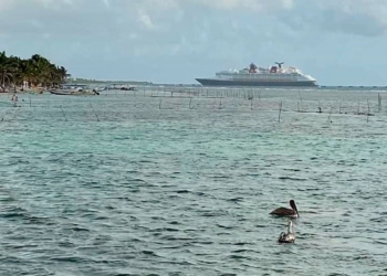 Ómicron causa suspensión de arribos de cruceros de Norwegian Cruise Line a Mahahual