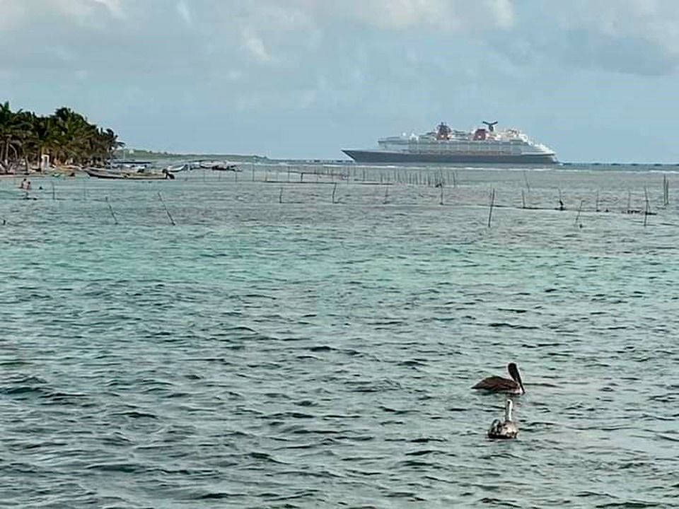 Ómicron causa suspensión de arribos de cruceros de Norwegian Cruise Line a Mahahual