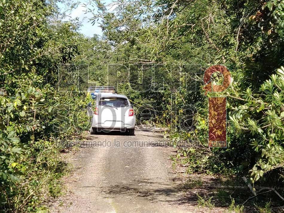 Encuentran en área verde de colonia de Cancún, dos bolsas con restos humanos